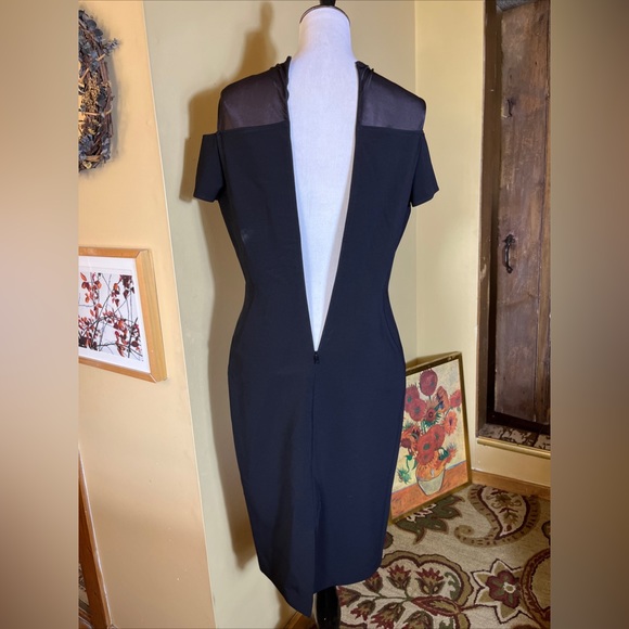 LAFAYETTE 148 Size 8 LBD Black Dress Slim Control Stretch Mesh Peek-a-Boo Sexy - Picture 9 of 16